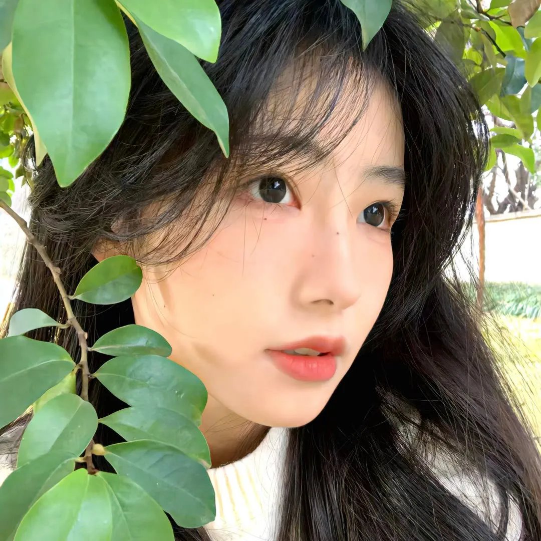熊出没·变形记