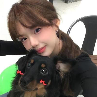 狐狸躲进洞